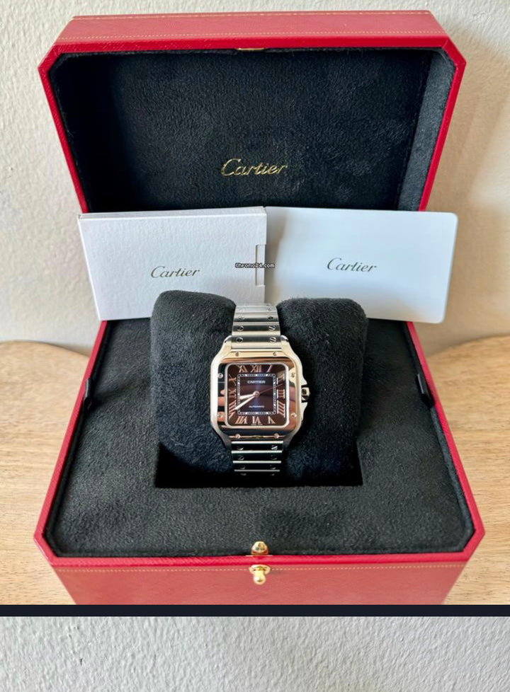 Cartier Santos
De Cartier Blue Dial Medium